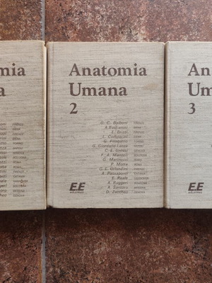 Anatomia Umana volumes 1, 2, 3, Edi.Ermes, Italian