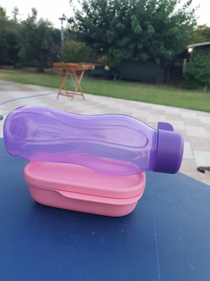 Tupperware kids set 2 pcs 120 ml bowl and 310 ml bottle