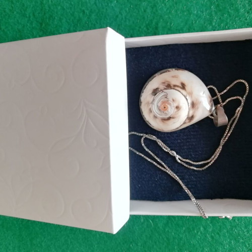 Silver 925 shell pendant necklace silver color like new
