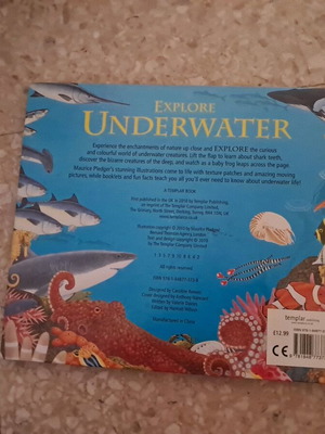Explore Underwater book new