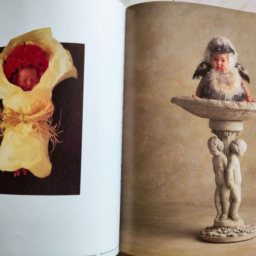 The Garden Treasures Anne Geddes book like new