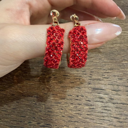 Earrings with zircon red, new