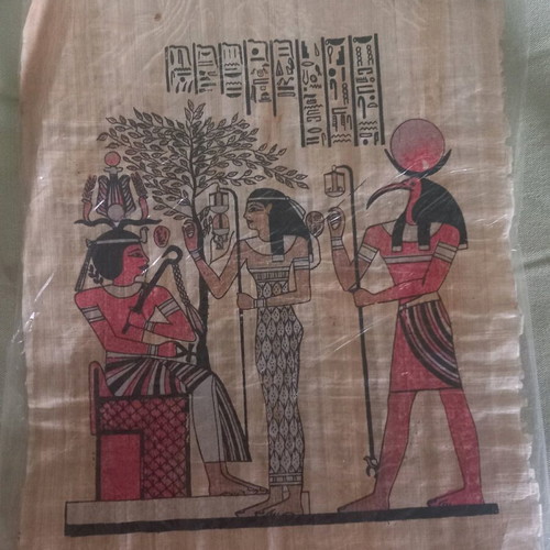 Papyrus from Egypt used