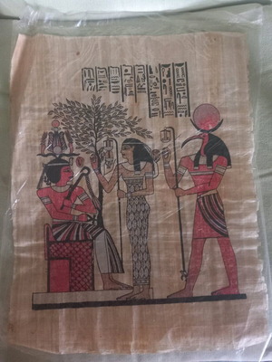 Papyrus from Egypt used