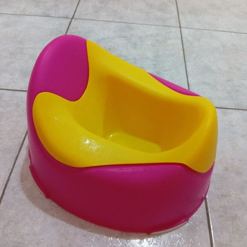 Large potty with removable container