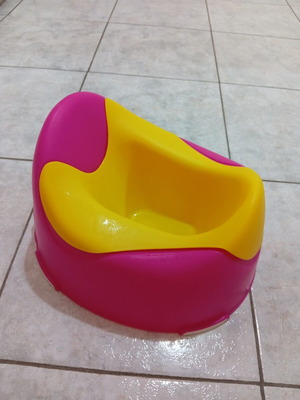 Large potty with removable container