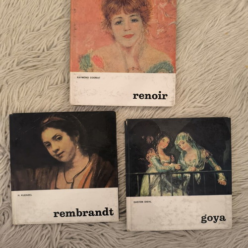 Art books used, Renoir Rembrandt Goya Flammarion Crown series