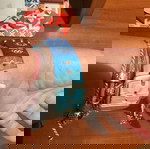  Ολυμπιακοί 2004 εθελοντών 1)Ρολόι και 2)στυλό