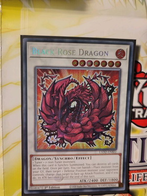 black rose dragon card sleeves Border sleeves ROSA NERA 🌹 – Sleevescard main image 0