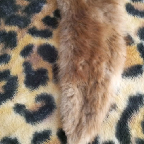 Fur collar like new, beige brown, probably natural