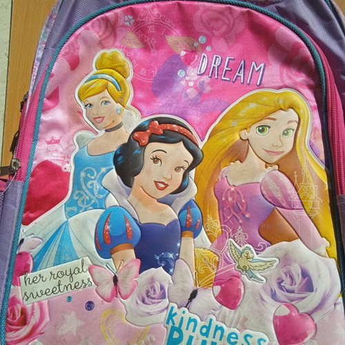 GIM Disney Princess school anatomical backpack used