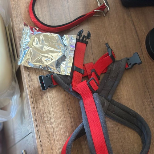 Dog harness and collar for medium dogs like new, flea and tick protection