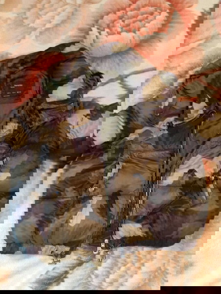 puffer παραλλαγής
