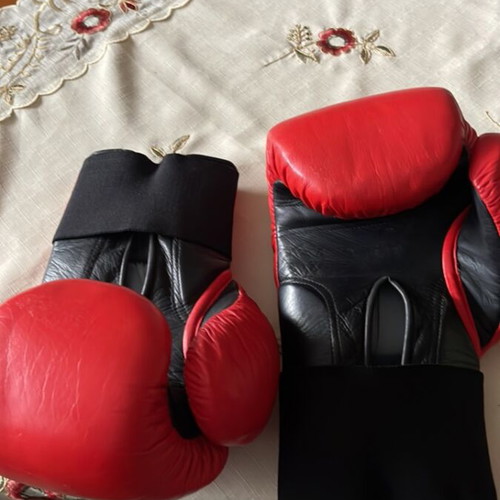 Boxing gloves used in excellent condition