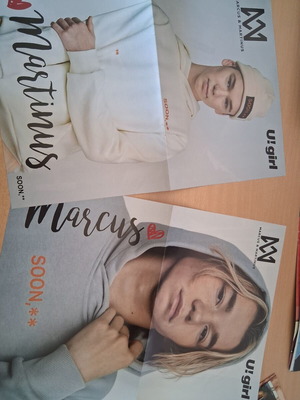 Marcus & Martinus posters pack, Halsey, Tom Holland