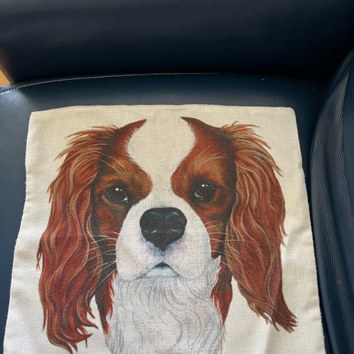 Pillow cover used 45x45 with Cavalier King Charles dog print