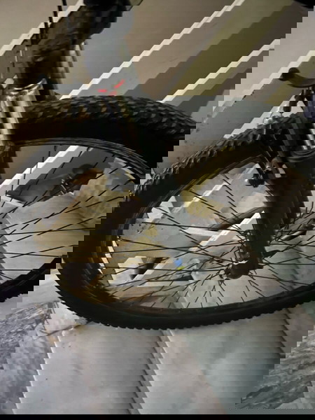 orient mountain bike 29’