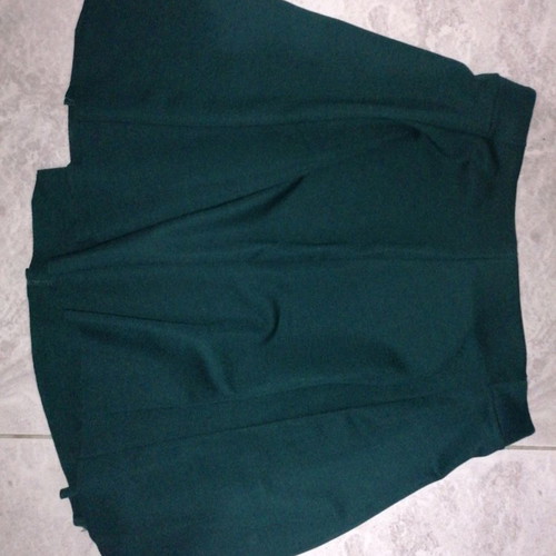 Cypress skirt new, size L / 40 / 12