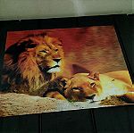  3D Κορνιζα - Λιονταρια Στη Σαββανα