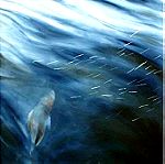  DOLPHINS FOLLOWING THE BOAT 1+2. 2003. OIL ON CANVAS. ORIGINAL PAINTING 60X90X3 cm. (MARINA ROSS)