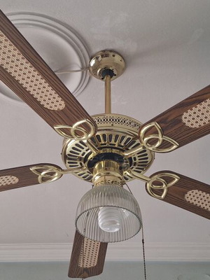 Ceiling fan lamp like new