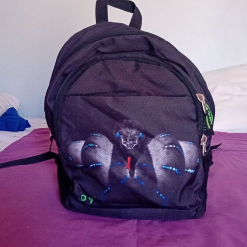 Boys' school backpack with designs