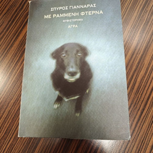Spyros Giannaras Me Rammeni Fterna novel