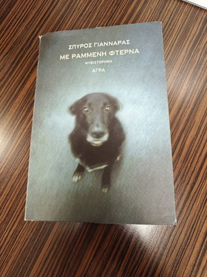 Spyros Giannaras Me Rammeni Fterna novel