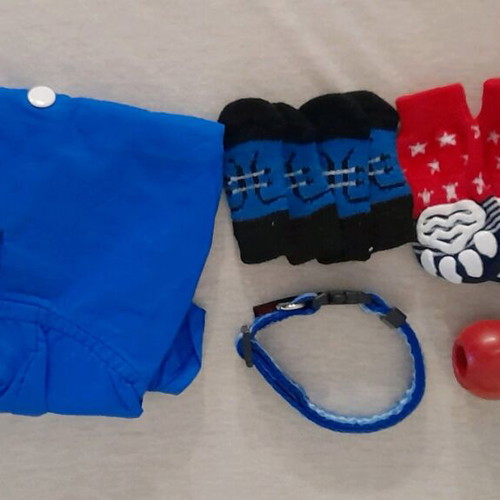 Dog kit like new with waterproof, paw covers, leash, shirts and toy