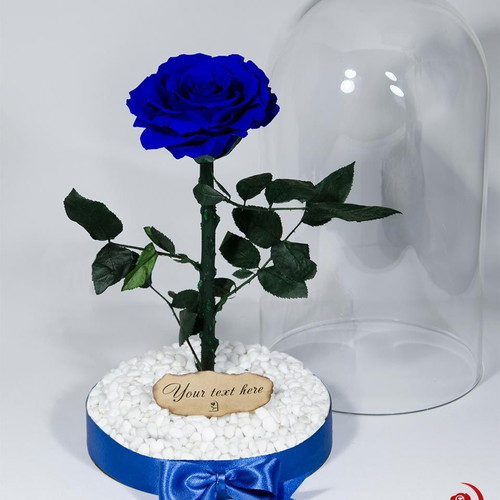 Blue natural eternal rose in large glass dome made to order