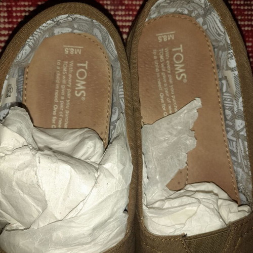 Toms canvas shoes used in excellent condition