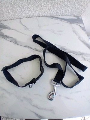 Leash collar set new, 2.5 cm width, adjustable for large dogs