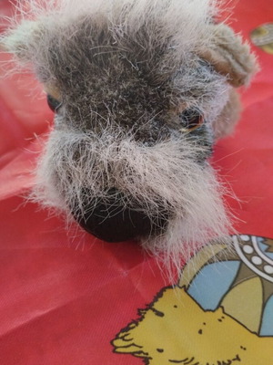 Dog Collection stuffed dog used