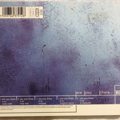 Wink Are You There CD near mint, electronic