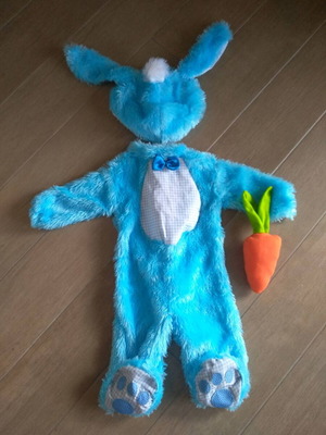 Carnival baby costume used, size 6-12 months