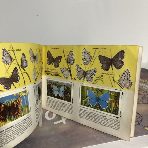 Brooke Bond Album and Cards used, complete British Butterflies set of 50