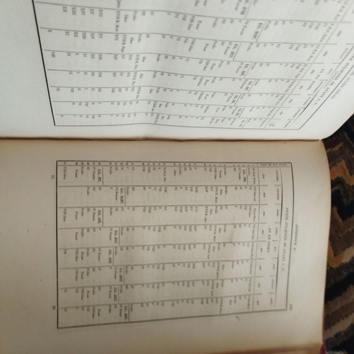 Histoire de Jules Cesar used books, 2 volumes together, 1866