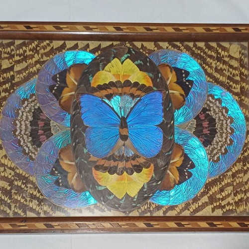 Vintage Brazilian Serving Tray with Real Butterfly Wings