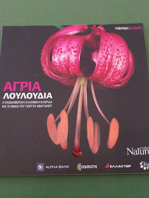 Wild Flowers book new, Greek flora photography by Giorgos Avagianos