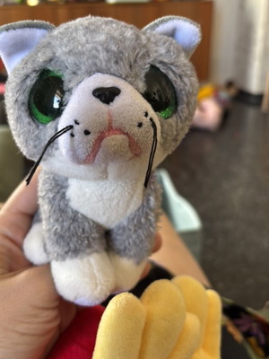 Ty Beanie Boos Fergus the Cat plush toy like new 2023