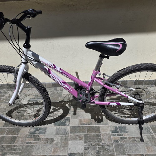 Everest Colibri 24 Inch Mountain Bike 18-Speed used, Shimano