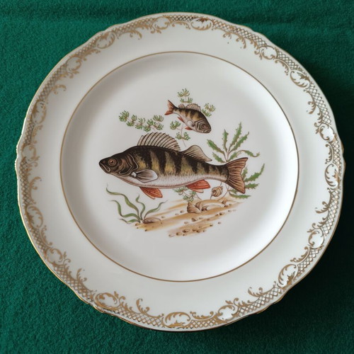 Limoges vintage plates with freshwater fish decoration, like new, set of 5