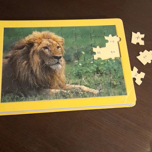 Puzzle book with 5 puzzles of 48 pieces each, like new