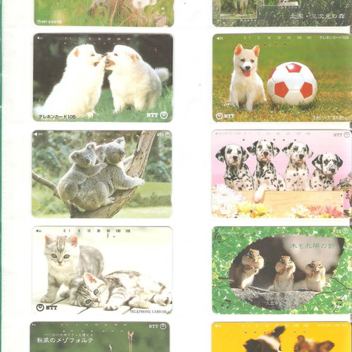 Collection of used 2307 phone cards with holders