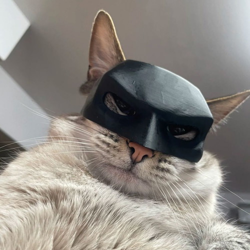 Cat mask style Batman new