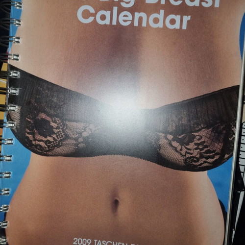 The Big Breast Calendar 2009 Diary Taschen like new