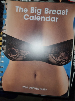 The Big Breast Calendar 2009 Diary Taschen like new
