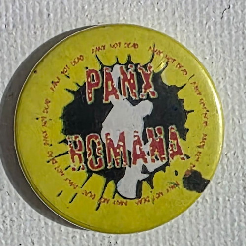 Panx Romana pin No6