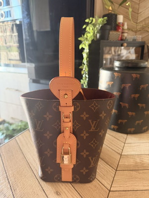 Louis Vuitton handle bag new
