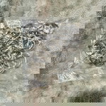  50 Μεταλλικοί D-Ring Κρίκοι 30mm – Ασημί, Πάχος 4mm – Ιδανικοί για Λουριά, Τσάντες & Κατασκευές